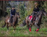 1CHASSE0389