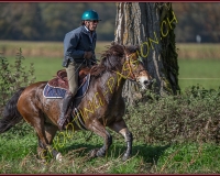 1CHASSE0395