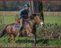 1CHASSE0396