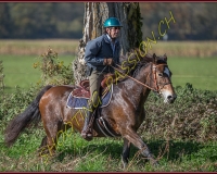 1CHASSE0397