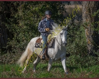 1CHASSE0400