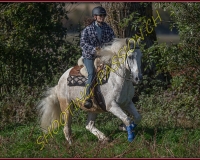 1CHASSE0404