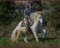 1CHASSE0405