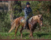 1CHASSE0411