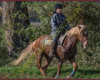 1CHASSE0413