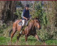 1CHASSE0418