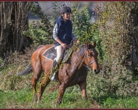 1CHASSE0419