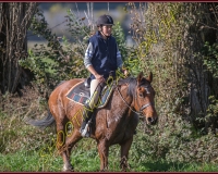 1CHASSE0420
