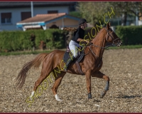 1CHASSE0423