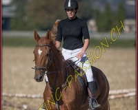 1CHASSE0431
