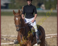 1CHASSE0433