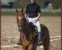 1CHASSE0434