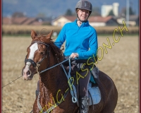 1CHASSE0454