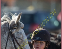 1CHASSE0488