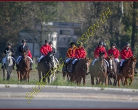 1CHASSE0494