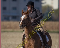 1CHASSE0547