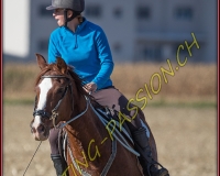 1CHASSE0553