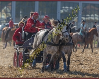 1CHASSE0559