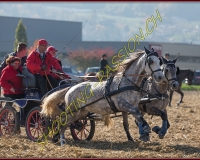 1CHASSE0563