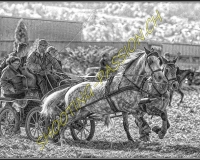 1CHASSE0563 pe