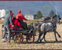 1CHASSE0565