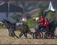 1CHASSE0571