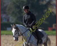 1CHASSE0577