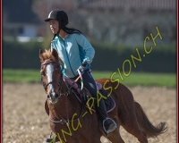 1CHASSE0578