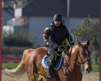 1CHASSE0581