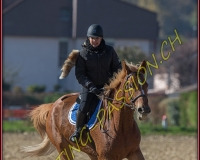 1CHASSE0583