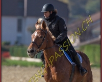 1CHASSE0587
