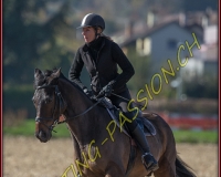 1CHASSE0591