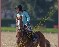 1CHASSE0596
