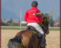1CHASSE0606
