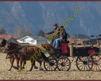 1CHASSE0607