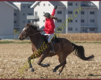 1CHASSE0617