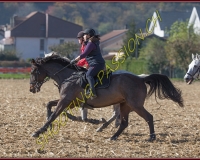 1CHASSE0618