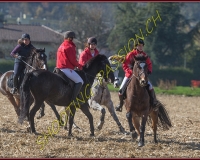 1CHASSE0624