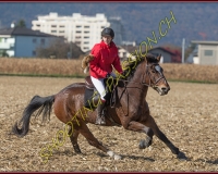 1CHASSE0631
