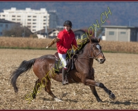 1CHASSE0632