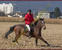 1CHASSE0633