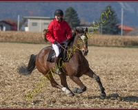 1CHASSE0636
