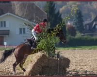 1CHASSE0640