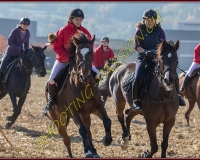 1CHASSE0654