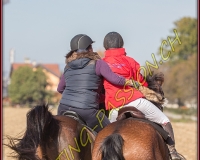 1CHASSE0661