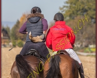 1CHASSE0665