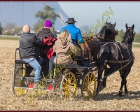 1CHASSE0667