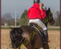 1CHASSE0674