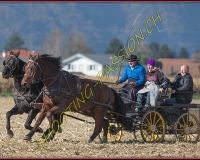 1CHASSE0675