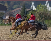 1CHASSE0682